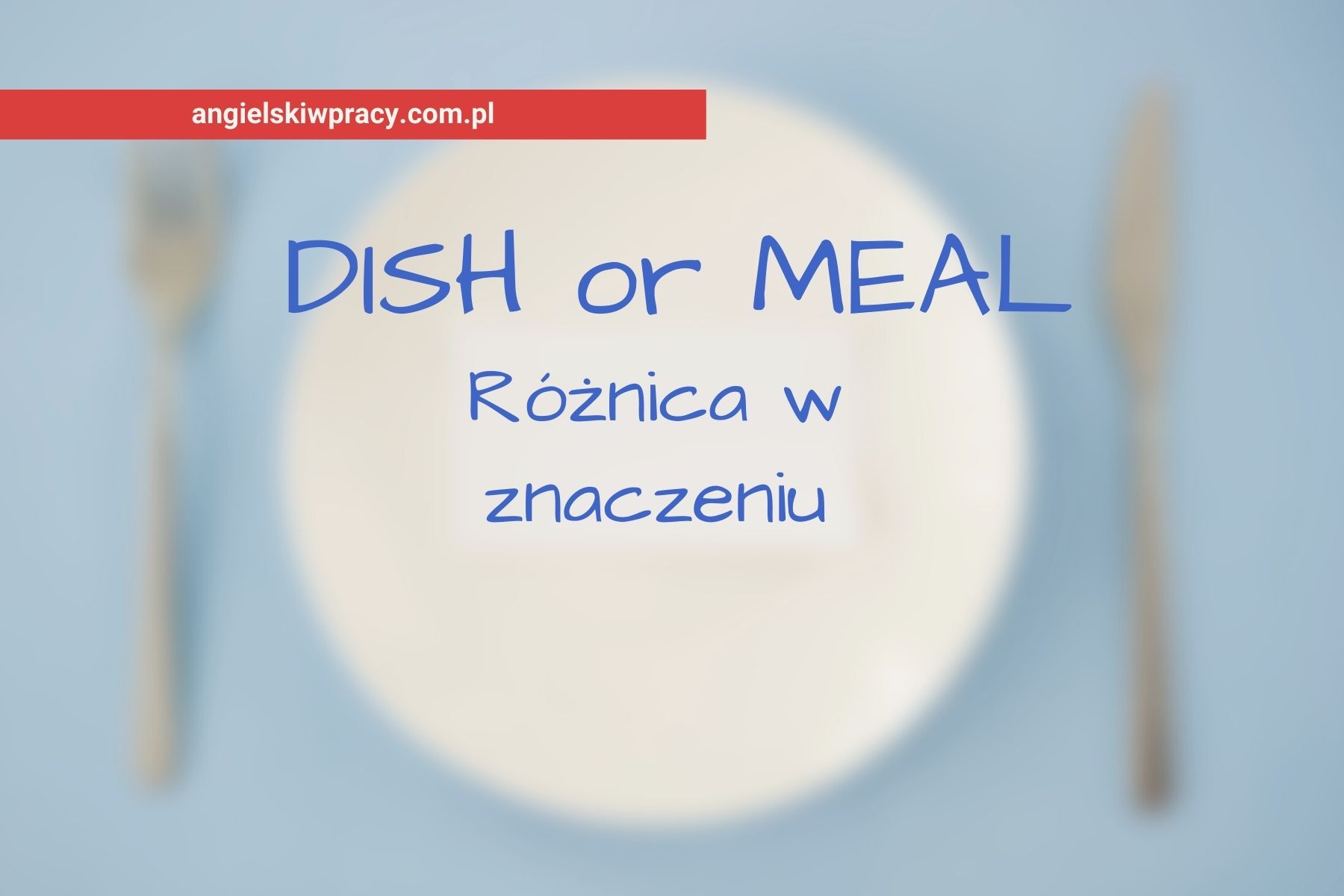 różnica między dish a meal